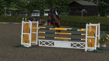 Step up to Gold Rider Charlene Bastone qualifies two horses for the HOYS Talent Seekers final